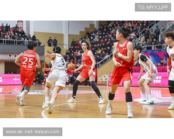 季后赛战火升温,精彩一触即发!,季后赛出线形势